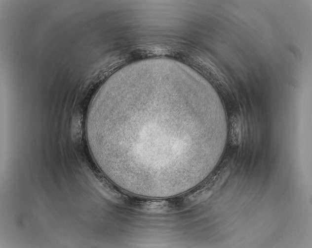 X0000111390410200908071300