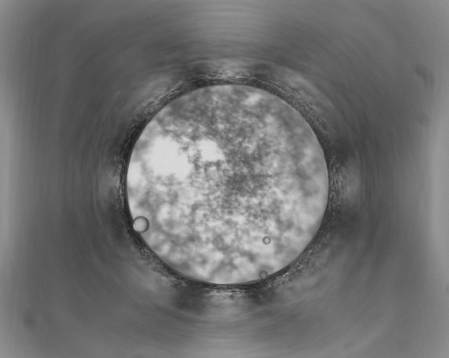 X0000111390415200908071300