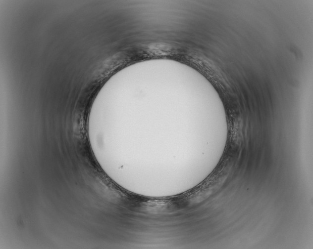 X0000111390418200908071300