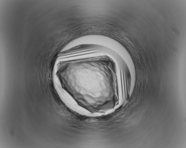 X0000111390419200908071300