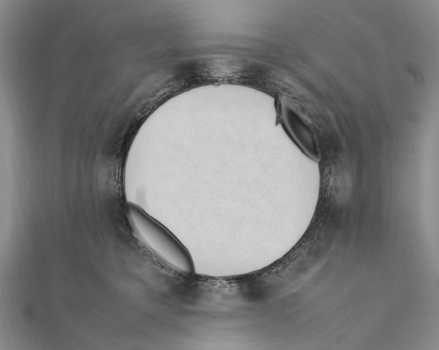 X0000111390421200908071300