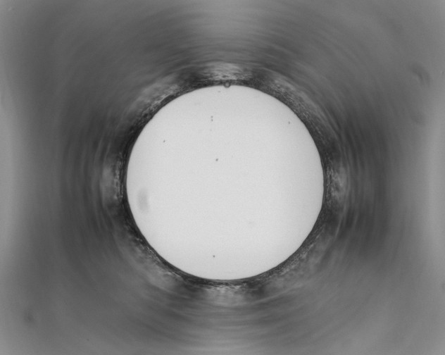 X0000111390422200908071300