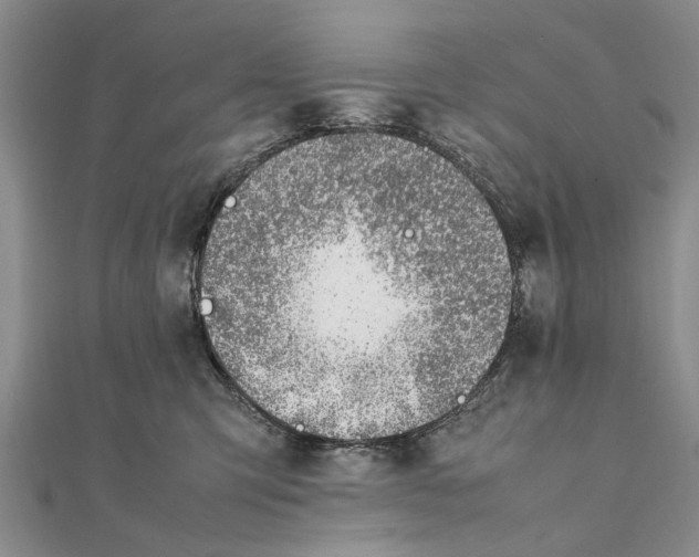 X0000111390423200908071300