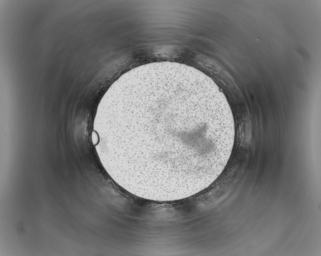 X0000111390424200908071300