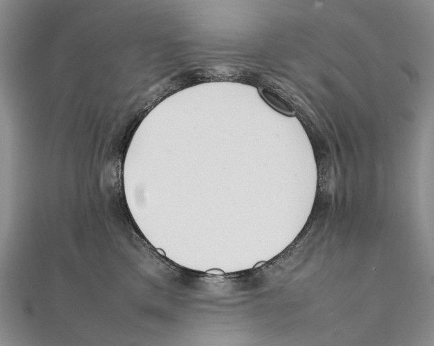 X0000111390425200908071300