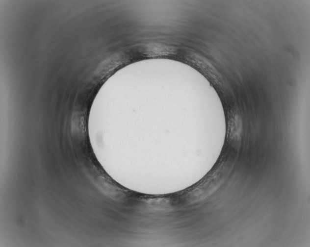 X0000111390426200908071259