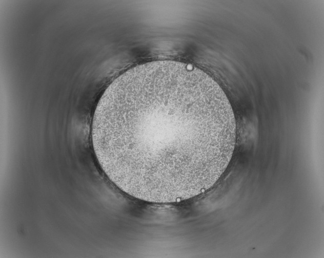 X0000111390427200908071259