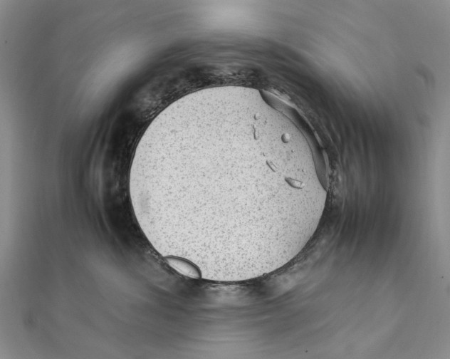X0000111390428200908071259