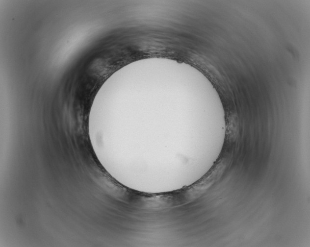X0000111390430200908071259