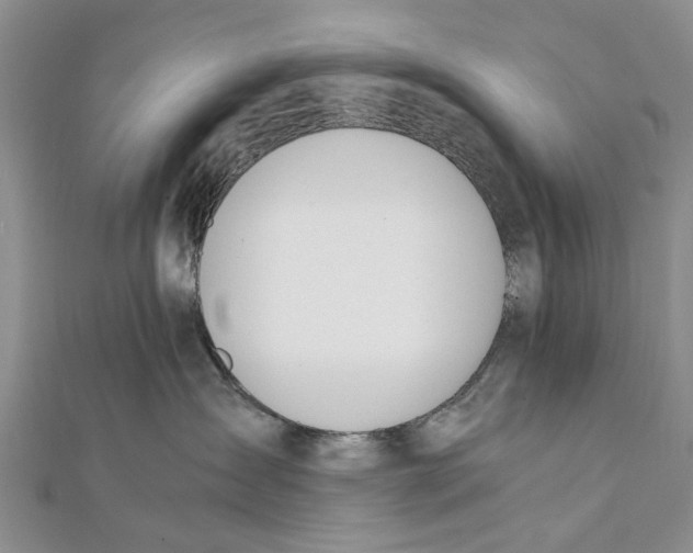 X0000111390431200908071259