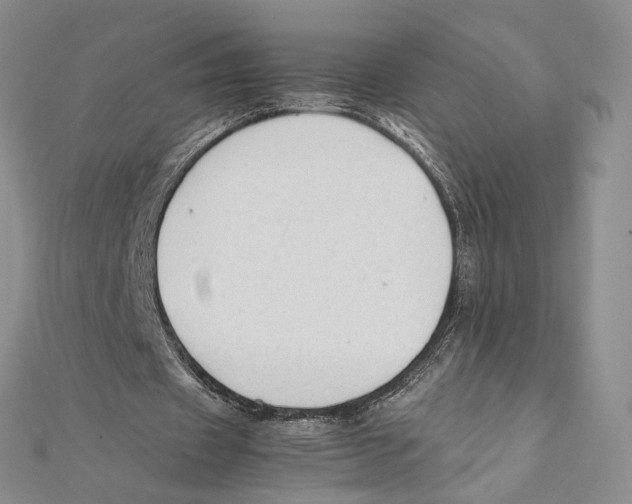 X0000111390433200908071259