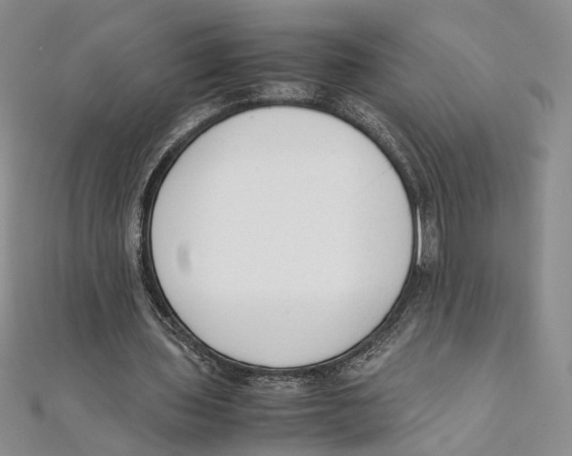X0000111390435200908071259