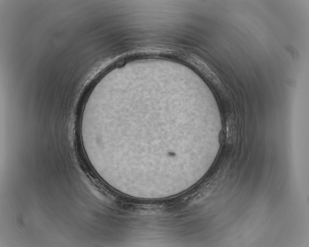 X0000111390436200908071259