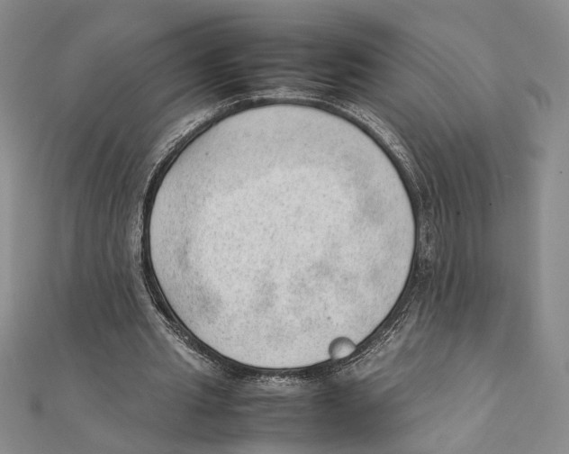 X0000111390437200908071259