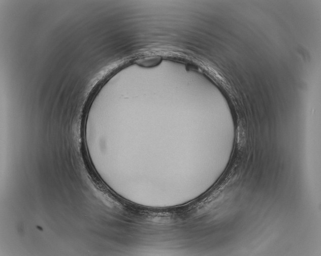 X0000111390438200908071259