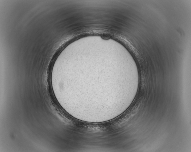 X0000111390439200908071259