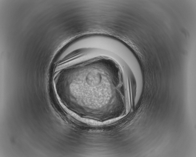 X0000111390440200908071259