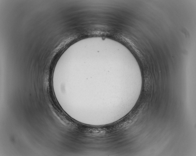 X0000111390443200908071259