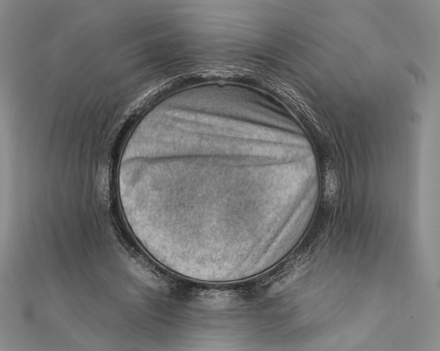 X0000111390444200908071259