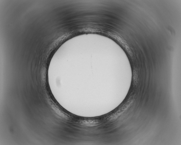 X0000111390445200908071259