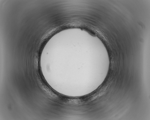 X0000111390446200908071259