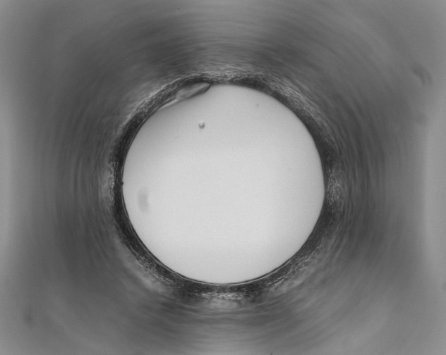 X0000111390448200908071259