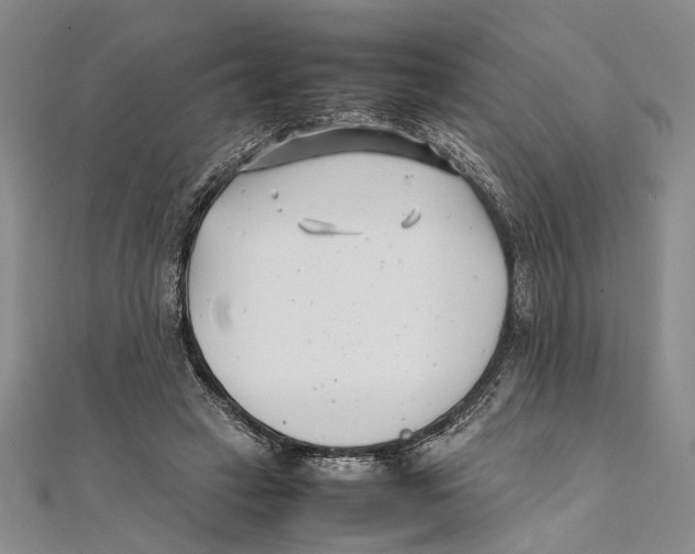 X0000111390449200908071259