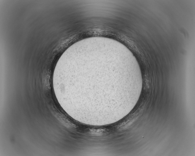 X0000111390450200908071259