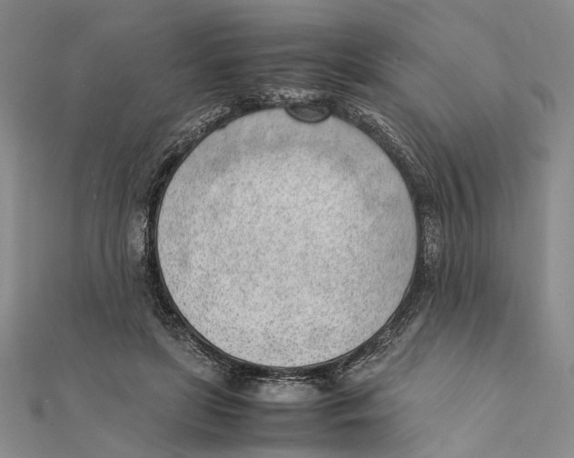 X0000111390451200908071259