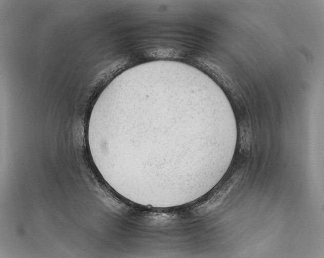 X0000111390453200908071259