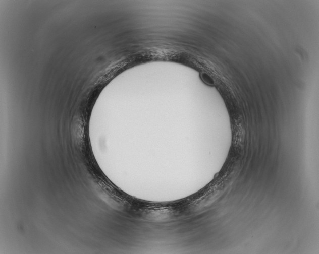 X0000111390456200908071259