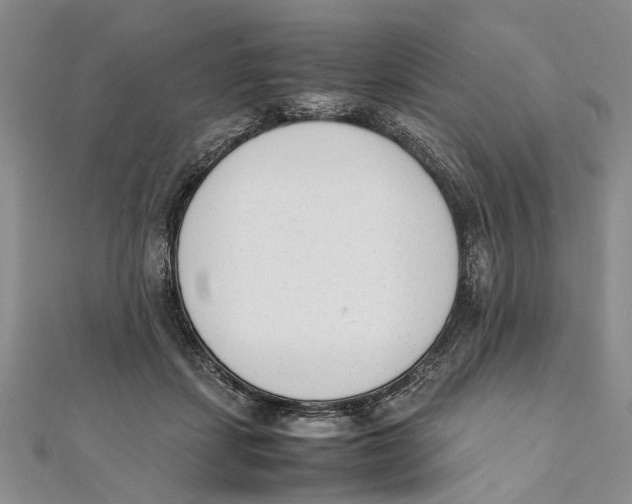 X0000111390459200908071259
