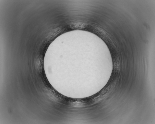 X0000111390460200908071259
