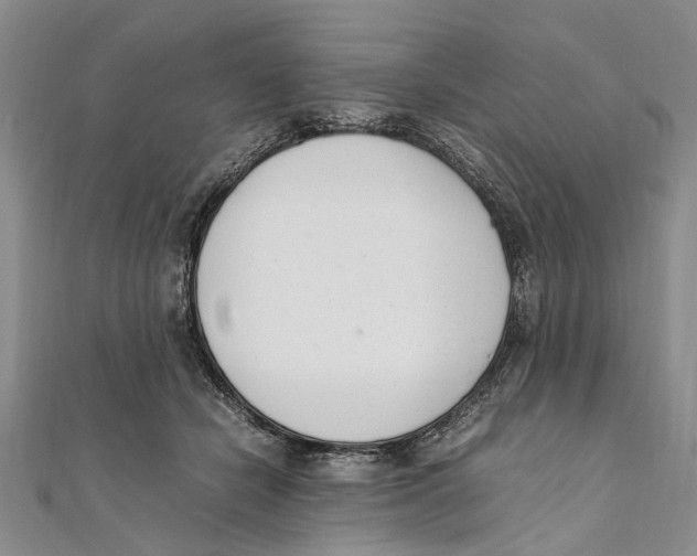 X0000111390462200908071259