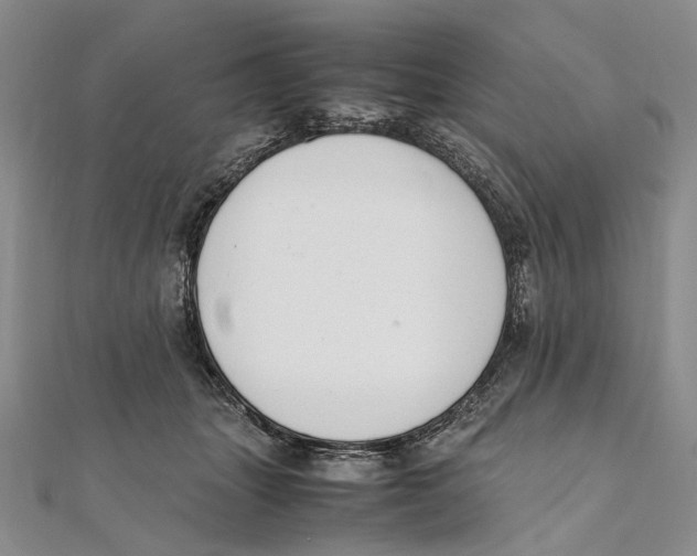 X0000111390463200908071259