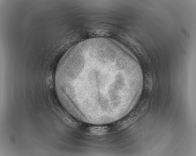 X0000111390465200908071259