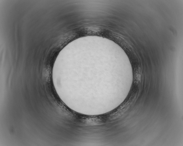 X0000111390468200908071259