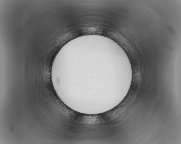 X0000111390469200908071259