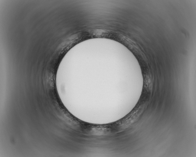 X0000111390470200908071259