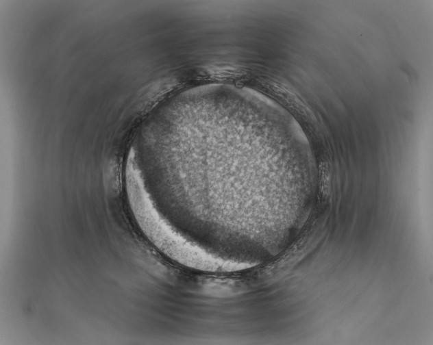 X0000111390471200908071259