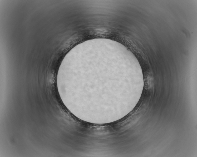X0000111390472200908071259