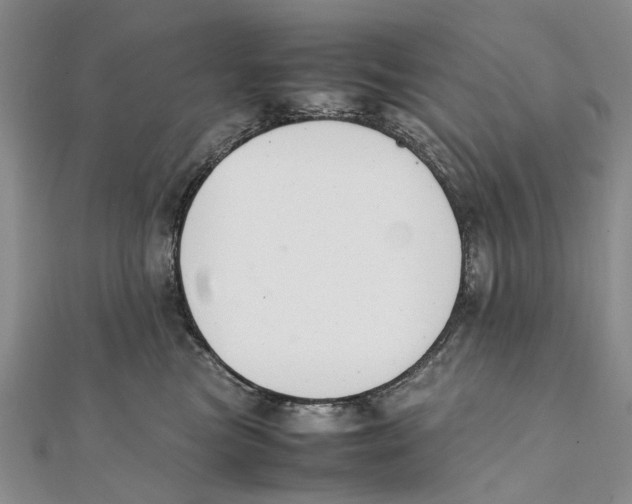 X0000111390473200908071259