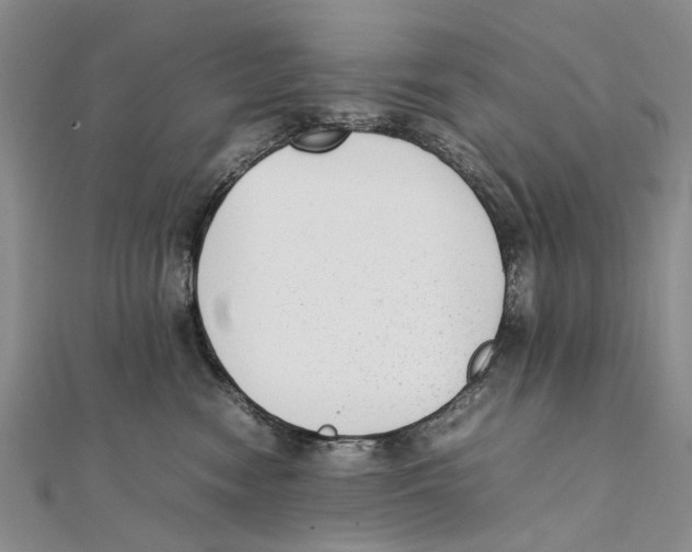 X0000111390474200908071259