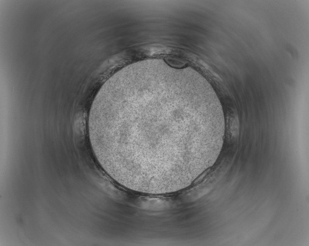 X0000111390475200908071259
