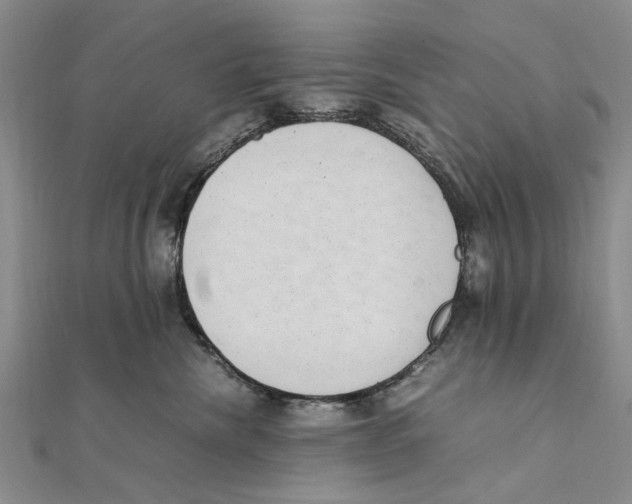 X0000111390476200908071259