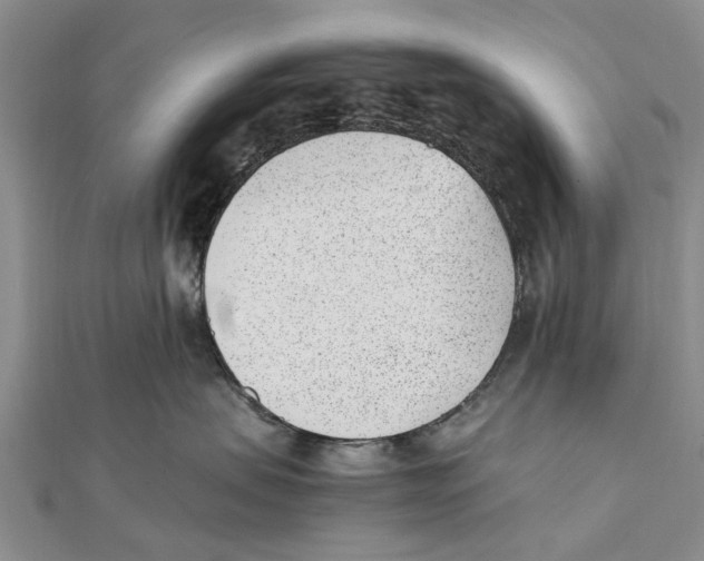 X0000111390479200908071259