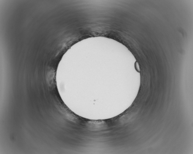 X0000111390480200908071259
