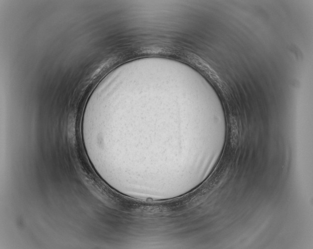X0000111390482200908071259