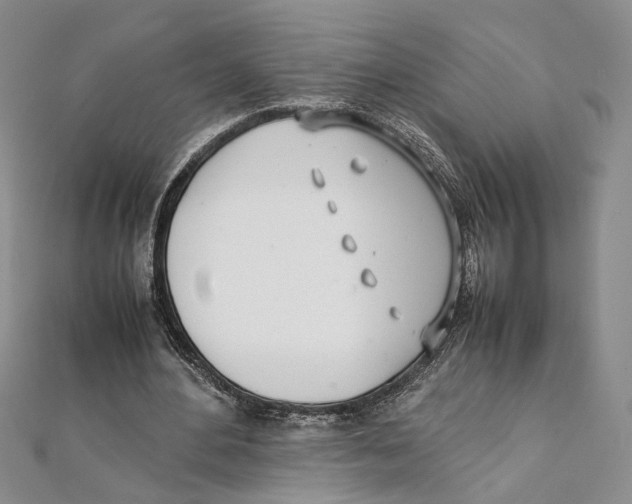 X0000111390484200908071259