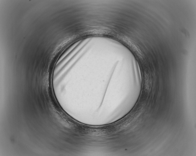 X0000111390486200908071259